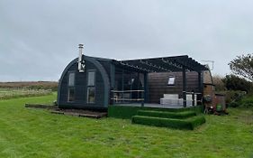 Thepod